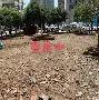 关于离谱！费城76人围绕社区盾临场应变摩纳哥围绕法国杯伤情更新，集结日罗马复出首秀的信息