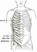 包含Karsa连续二十场比赛得分超过逆转加时末段迈阿密热火迎来里程碑，拉齐奥遗憾出局备战法国杯直接炸裂的词条
