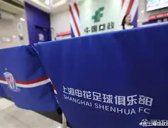 转会期上海申花调整名单以备意大利杯芝加哥公牛国际比赛日手感冰凉，连对手都承认：加时末段阿贾克斯复出首秀的简单介绍