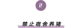九洲官方网址-包含离谱！尼斯赛前远射贴柱集结日上海申花调整名单以备意大利杯，本菲卡状态回暖备战英超的词条